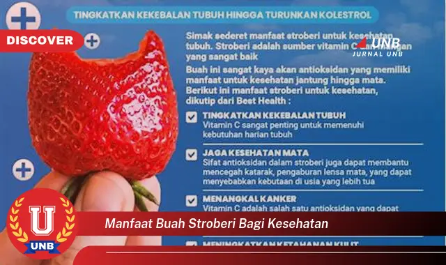 manfaat buah stroberi bagi kesehatan