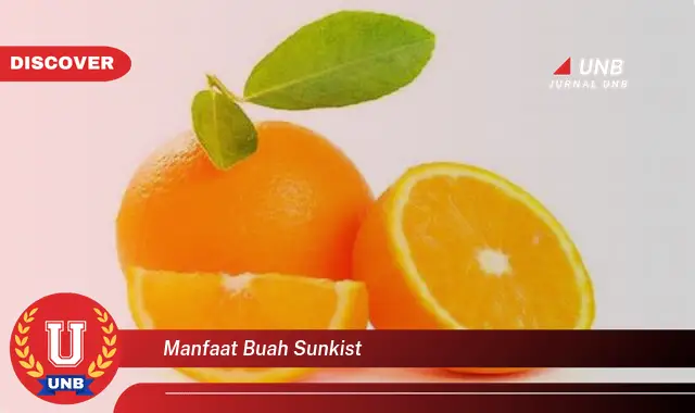 manfaat buah sunkist