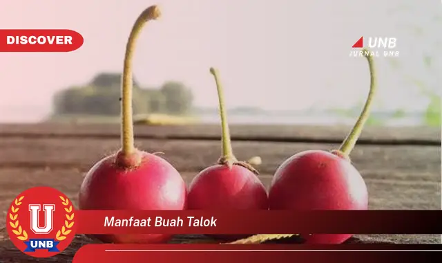 manfaat buah talok