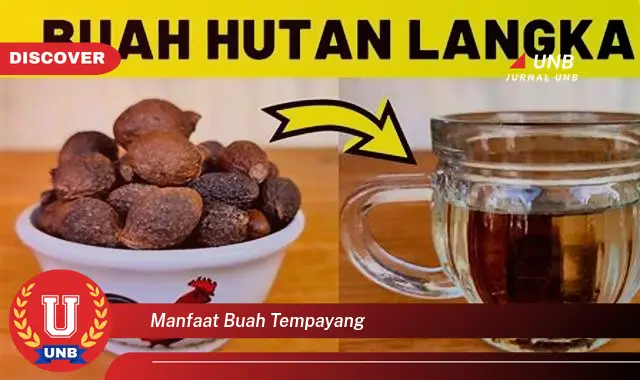 manfaat buah tempayang