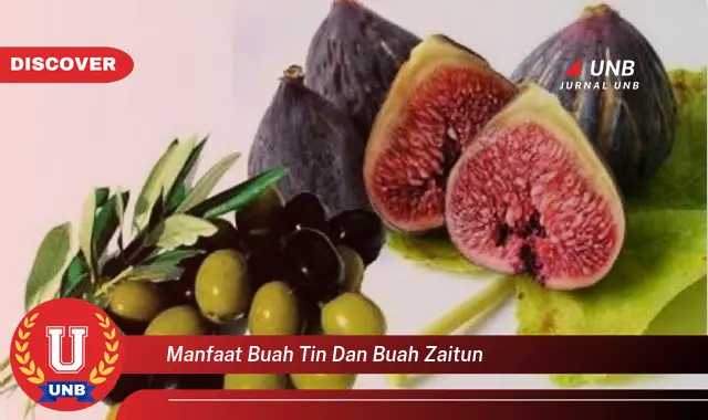 manfaat buah tin dan buah zaitun