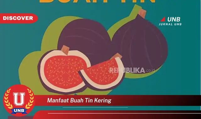 manfaat buah tin kering manfaat buah tin kering