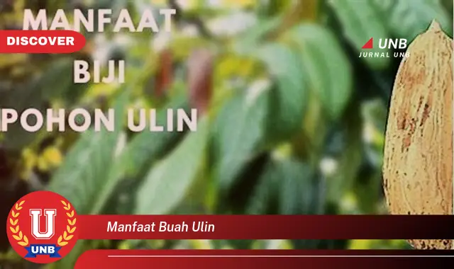 manfaat buah ulin