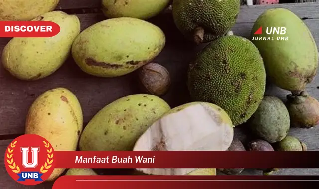 manfaat buah wani