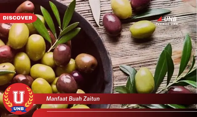 manfaat buah zaitun manfaat buah zaitun