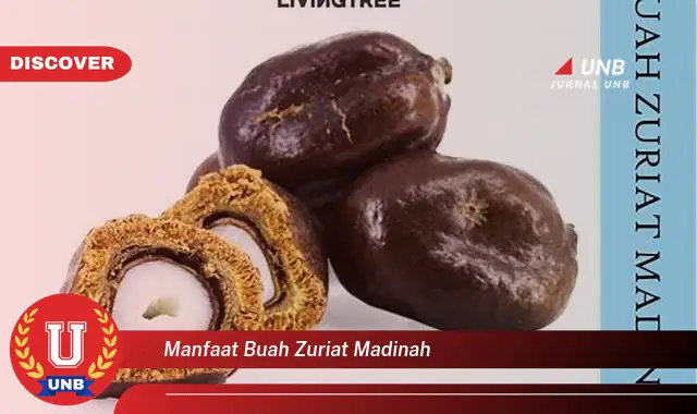 manfaat buah zuriat madinah