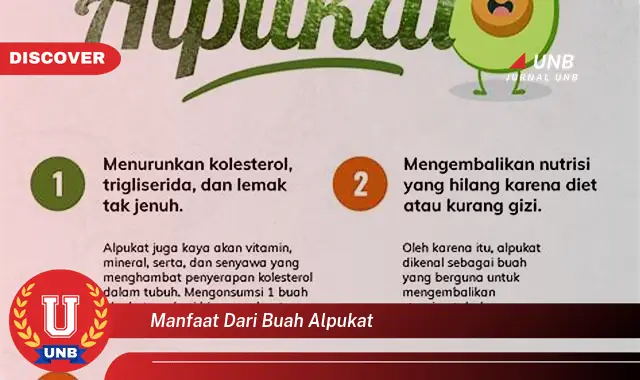 manfaat dari buah alpukat