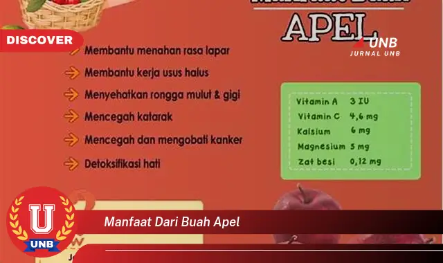 manfaat dari buah apel