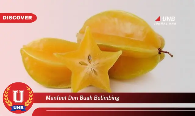 manfaat dari buah belimbing manfaat dari buah belimbing