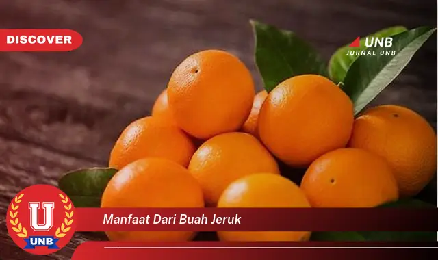 manfaat dari buah jeruk