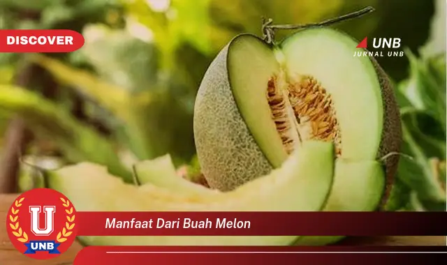 manfaat dari buah melon