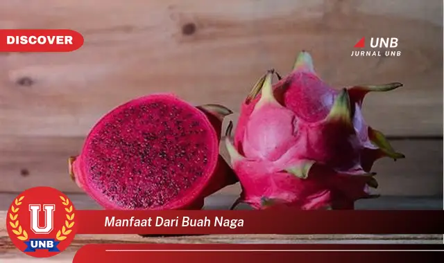 manfaat dari buah naga