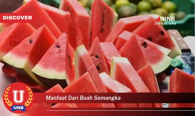 manfaat dari buah semangka