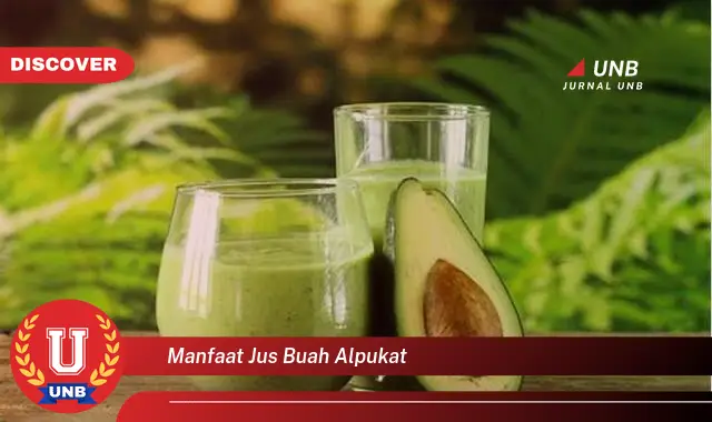 manfaat jus buah alpukat