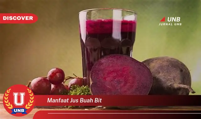 manfaat jus buah bit