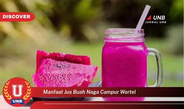 manfaat jus buah naga campur wortel