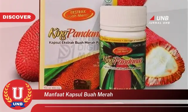 manfaat kapsul buah merah