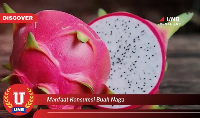 manfaat konsumsi buah naga manfaat konsumsi buah naga