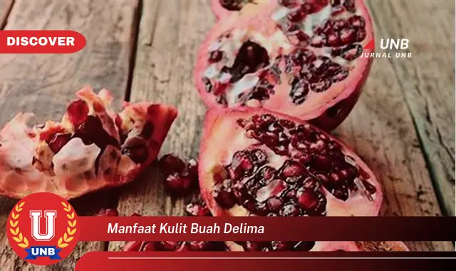 manfaat kulit buah delima