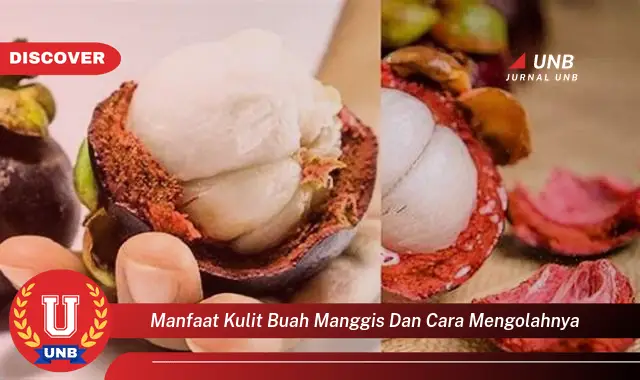 manfaat kulit buah manggis dan cara mengolahnya manfaat kulit buah manggis dan cara mengolahnya