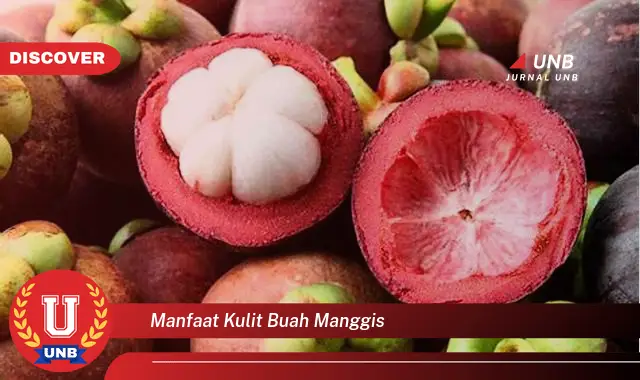 manfaat kulit buah manggis