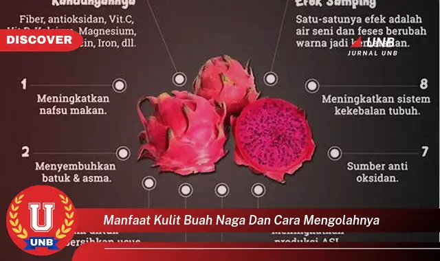 manfaat kulit buah naga dan cara mengolahnya