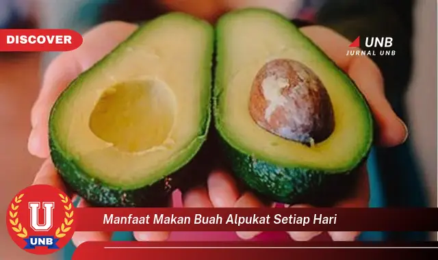 manfaat makan buah alpukat setiap hari