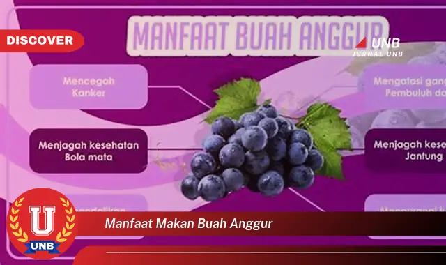 manfaat makan buah anggur manfaat makan buah anggur
