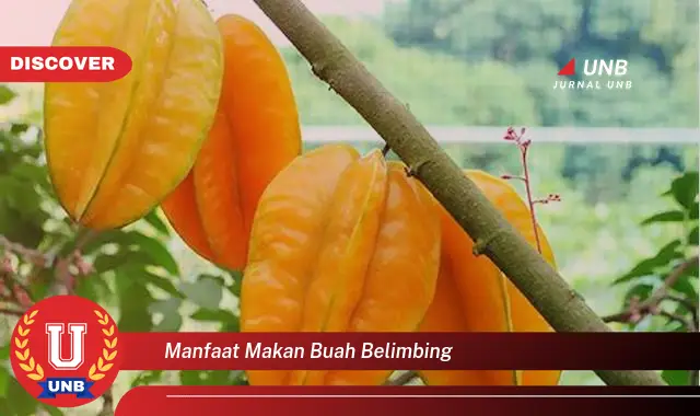 manfaat makan buah belimbing