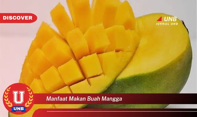 manfaat makan buah mangga