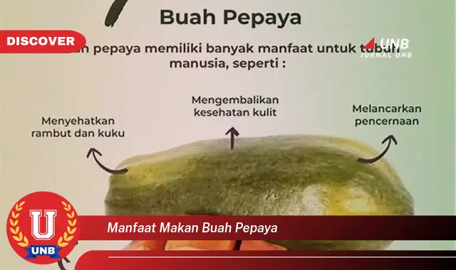manfaat makan buah pepaya manfaat makan buah pepaya