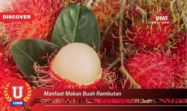 manfaat makan buah rambutan