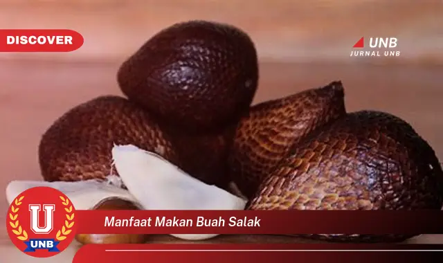 manfaat makan buah salak