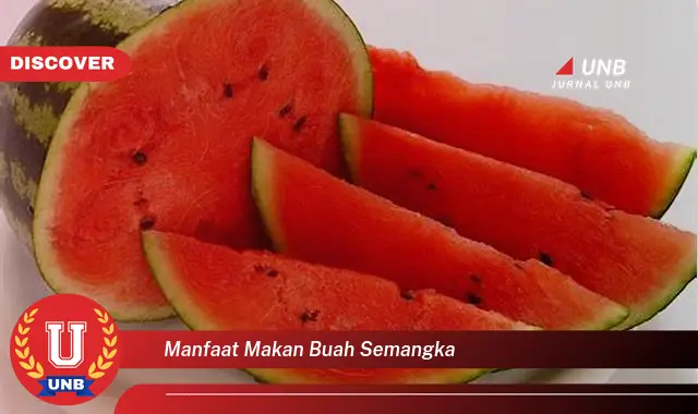 manfaat makan buah semangka