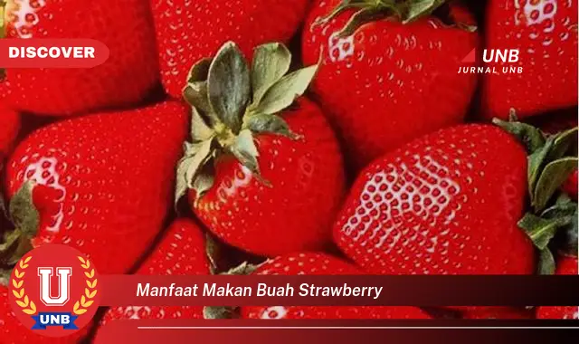 manfaat makan buah strawberry manfaat makan buah strawberry
