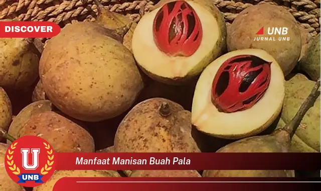 manfaat manisan buah pala