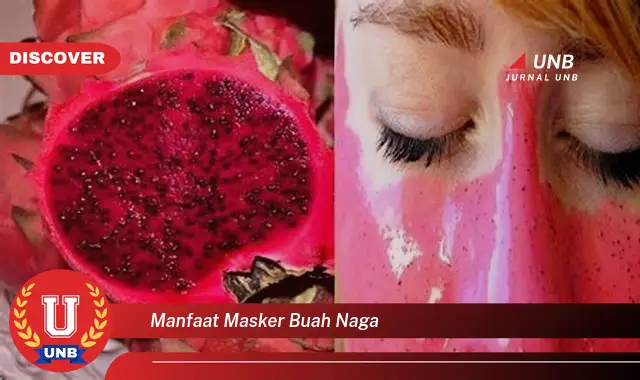 manfaat masker buah naga manfaat masker buah naga