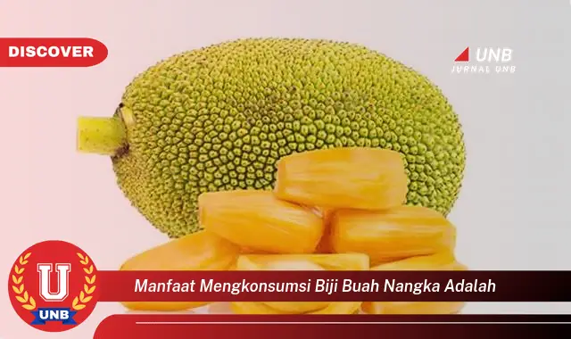 manfaat mengkonsumsi biji buah nangka adalah