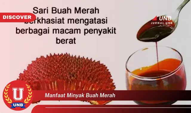 manfaat minyak buah merah