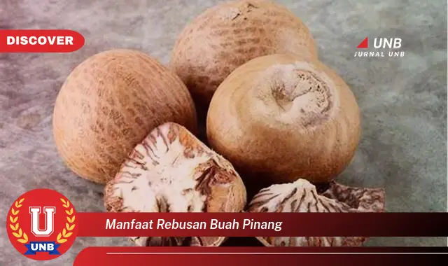 manfaat rebusan buah pinang