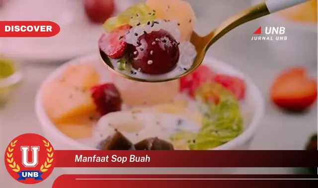 manfaat sop buah manfaat sop buah