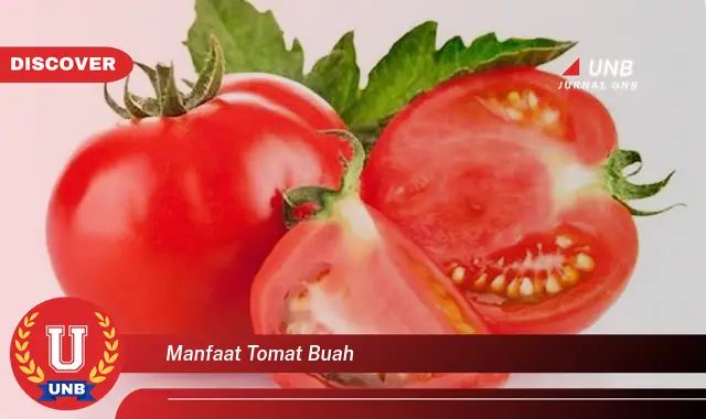manfaat tomat buah manfaat tomat buah