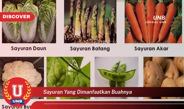 sayuran yang dimanfaatkan buahnya