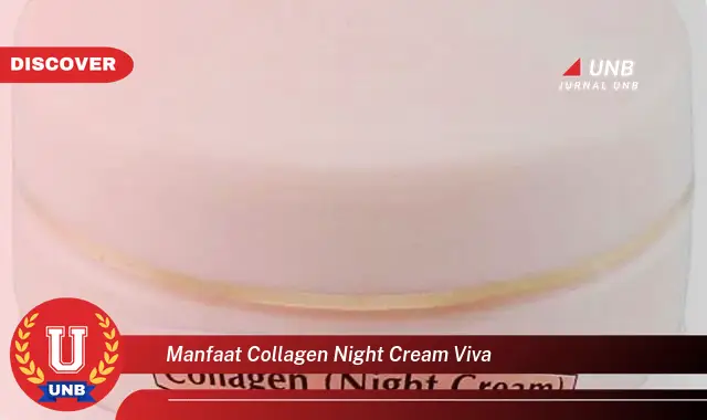 manfaat collagen night cream viva manfaat collagen night cream viva