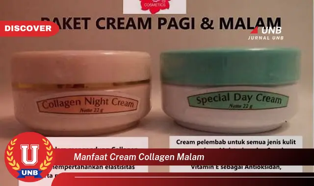 manfaat cream collagen malam manfaat cream collagen malam