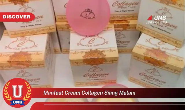 manfaat cream collagen siang malam manfaat cream collagen siang malam