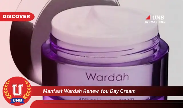 manfaat wardah renew you day cream