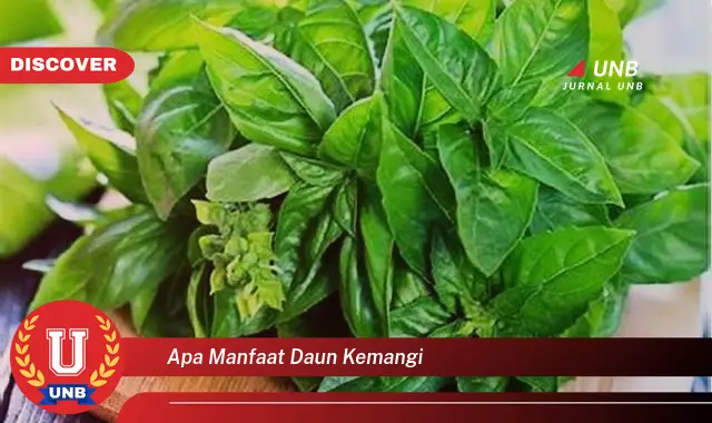 Ketahui 9 Manfaat Daun Kemangi untuk Kesehatan, Kecantikan, dan Masakan