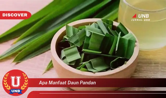 Ketahui 9 Manfaat Daun Pandan untuk Kesehatan, Masakan, dan Kecantikan