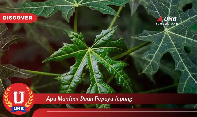 Ketahui 10 Manfaat Daun Pepaya Jepang untuk Kesehatan Anda